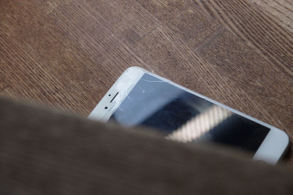 岡山で学ぶWEB制作の魅力と成功の秘訣